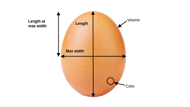 Eggstimation