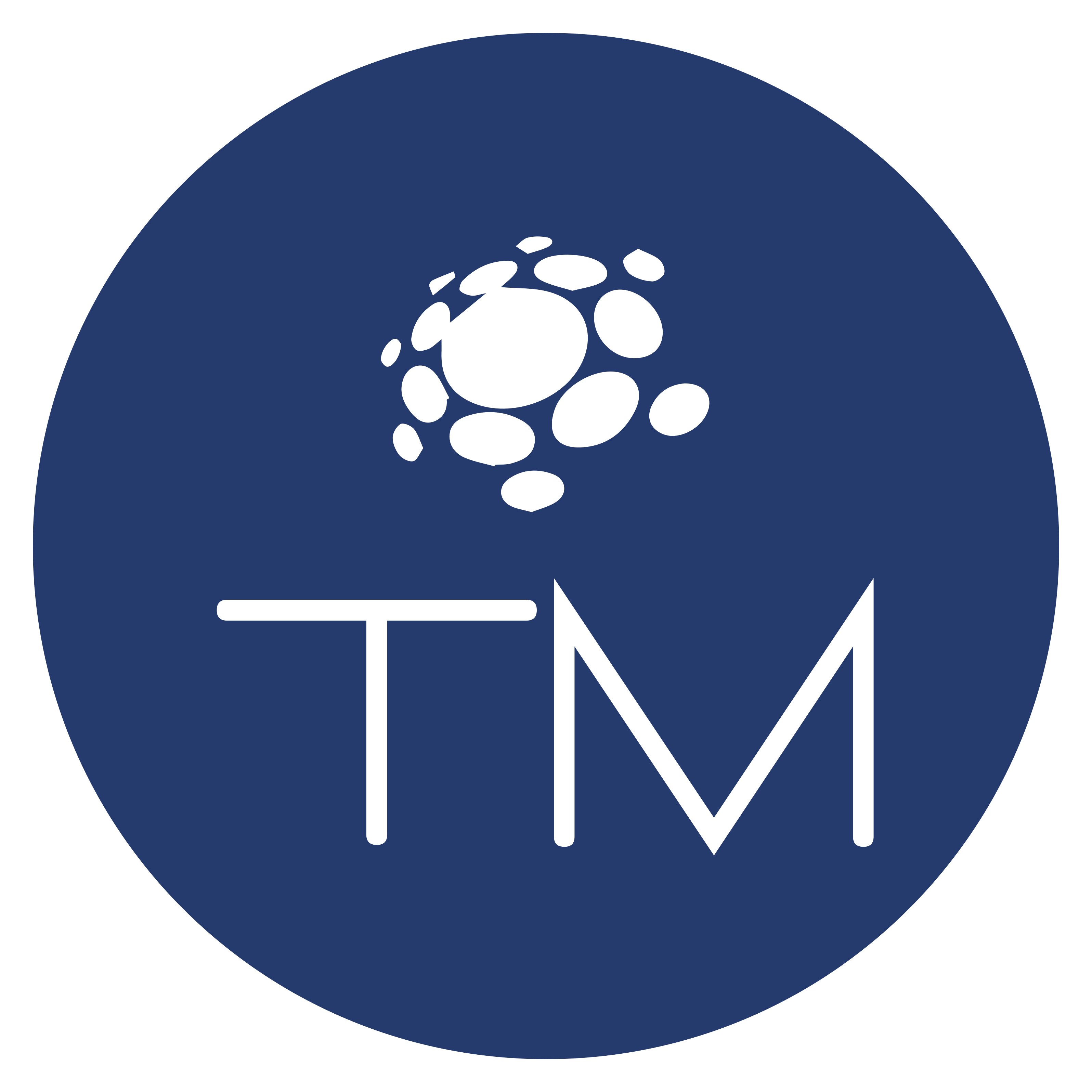 logo of Tourism Management